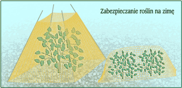 Zabezpieczanie roślin na zimę